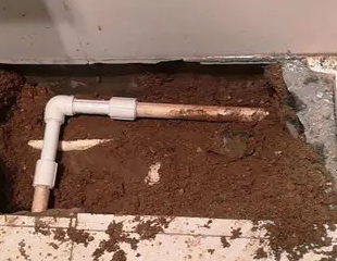 伊犁哈萨克测漏水哪家好