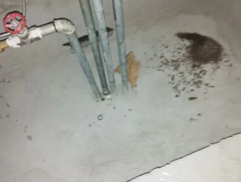 伊犁哈萨克卫生间测漏水价格明细